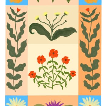 קולאז' צבעוני 2