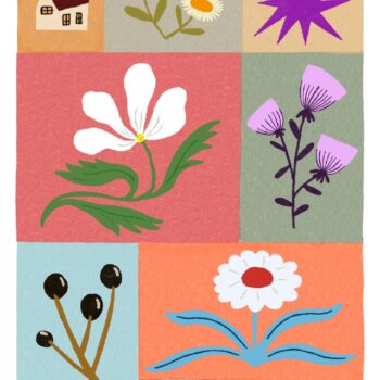 קולאז' צבעוני 3